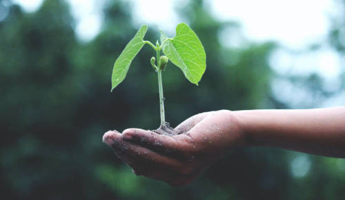 Mit Docutain den Klimaschutz unterstützen und Papierverbrauch reduzieren.